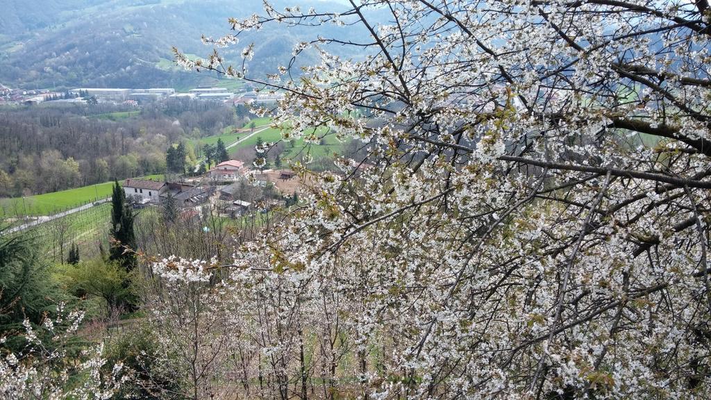 Agriturismo Il Mirabile Trescore Balneario Exterior foto